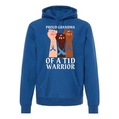 Proud Grandma Of A T1d Warrior Diabetes Awareness Cool Gift Premium Hoodie