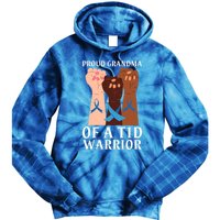 Proud Grandma Of A T1d Warrior Diabetes Awareness Cool Gift Tie Dye Hoodie