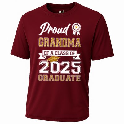 Proud Grandma Of A Class Of 2025 Graduate Performance Shirt