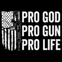Pro God Pro Gun Pro Life USA Christian Guns Owner Flag Toddler T-Shirt