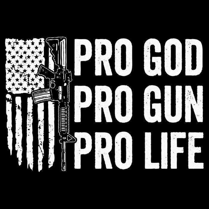 Pro God Pro Gun Pro Life USA Christian Guns Owner Flag Toddler T-Shirt