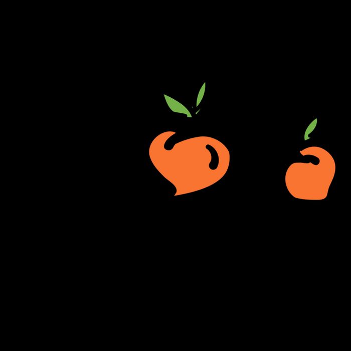 Peaches Georgia Zip Tote Bag