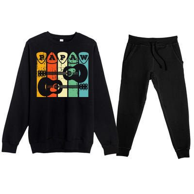 Papaw Guitar Pick Gift Guitar Player Grandpa Retro Guitarist Premium Crewneck Sweatsuit Set