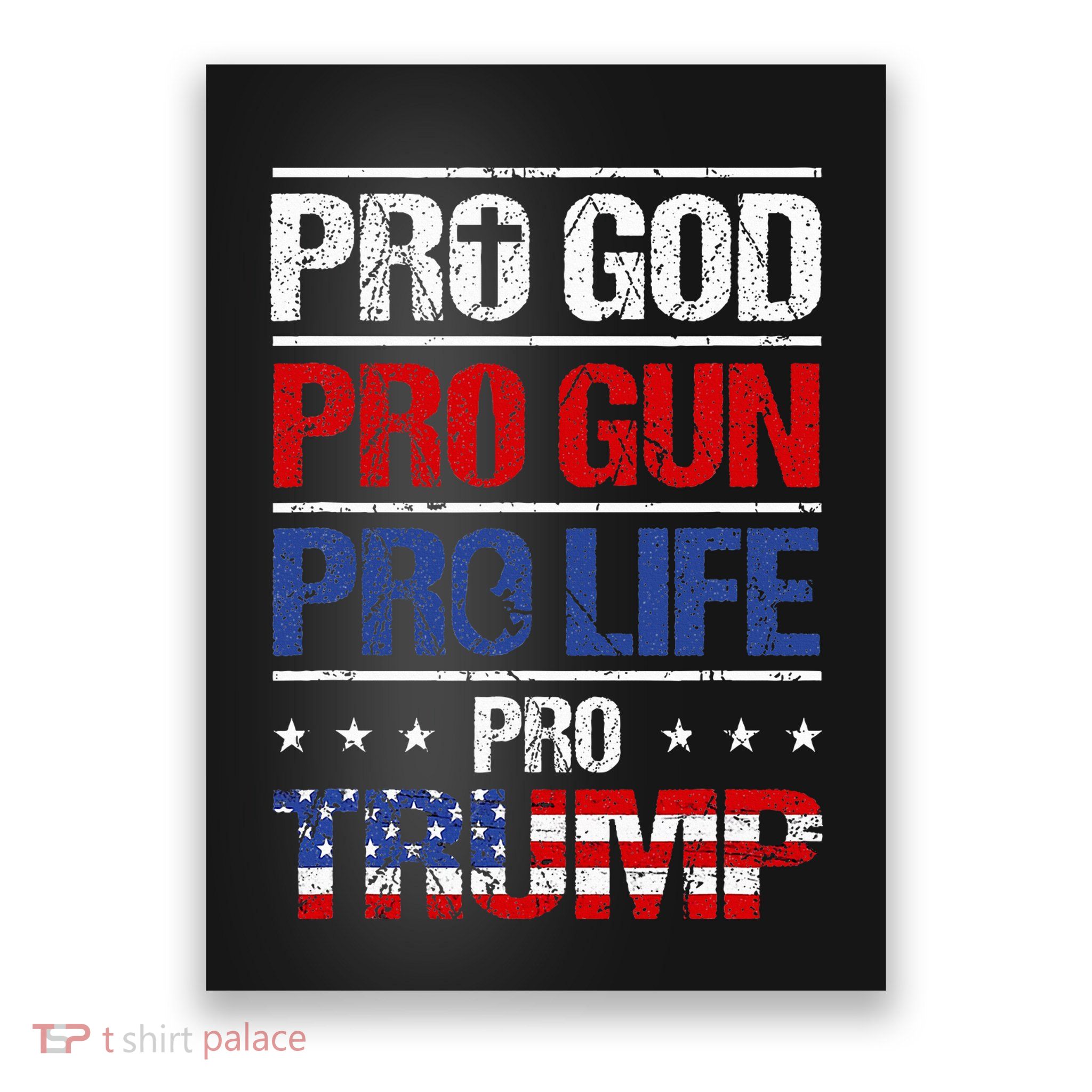 Pro God Pro Gun Pro Life Pro Trump Patriotic Poster