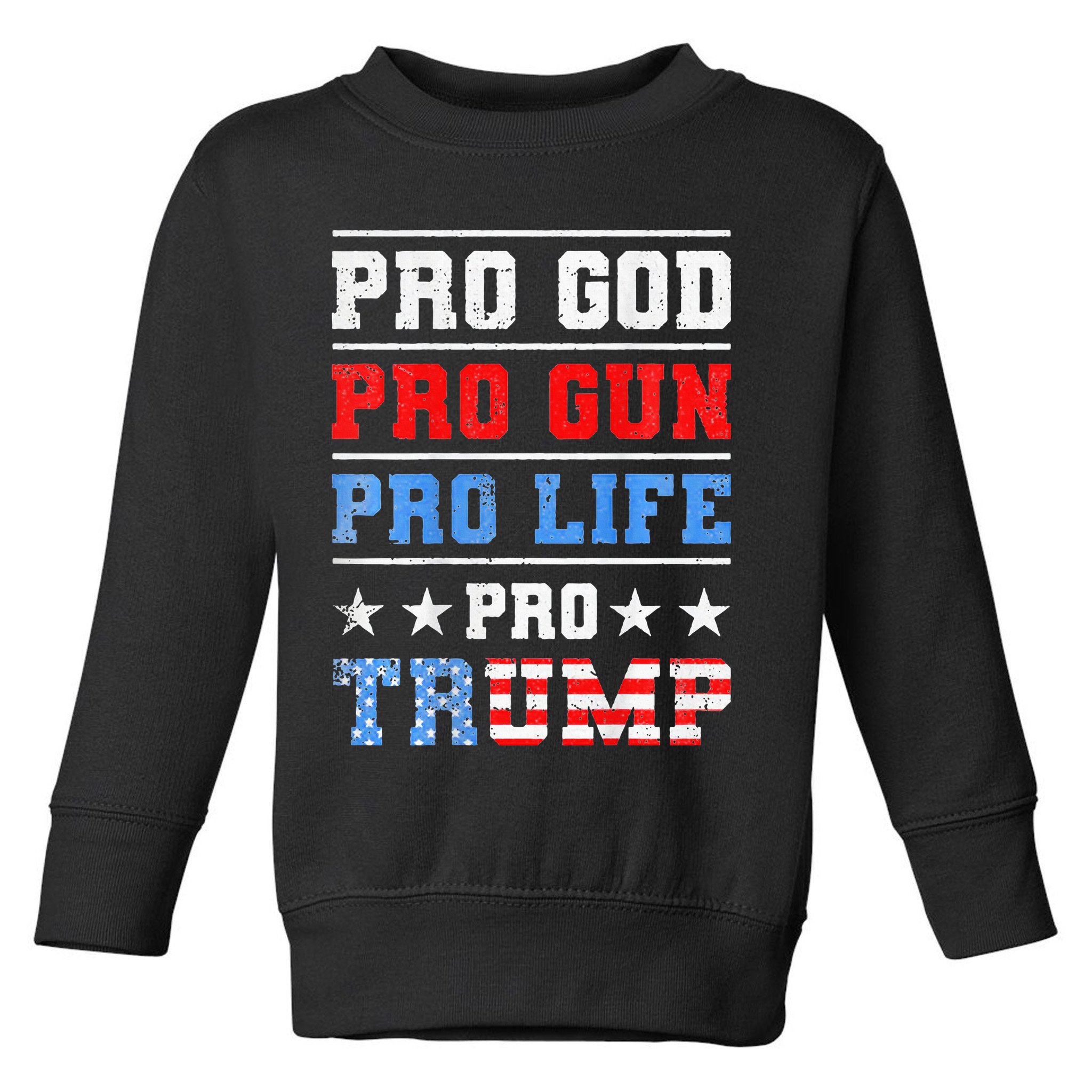 Pro God Pro Gun Pro Life Pro Trump Toddler Sweatshirt