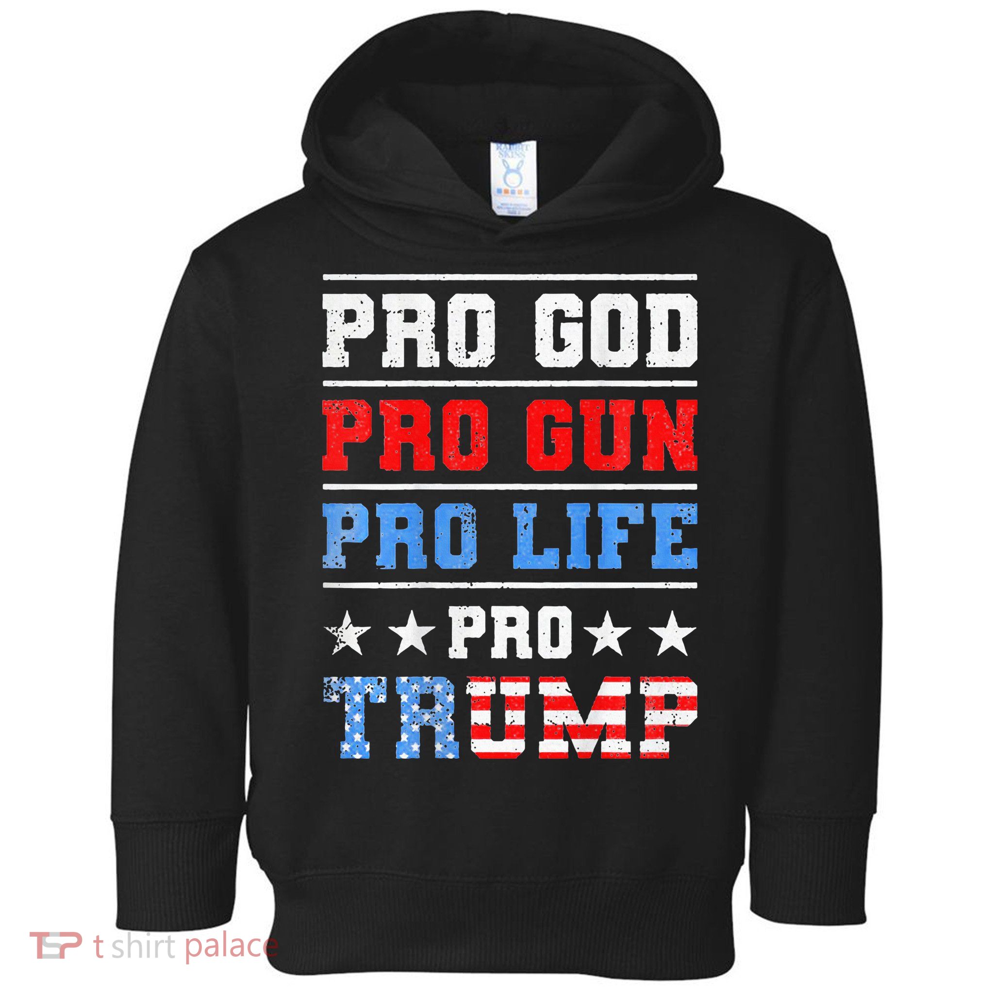 Pro God Pro Gun Pro Life Pro Trump Toddler Hoodie