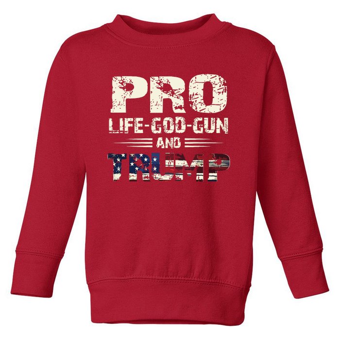 Pro God Pro Gun Pro Life Pro Trump Toddler Sweatshirt