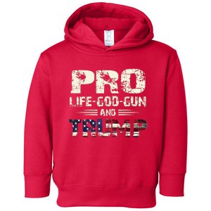 Pro God Pro Gun Pro Life Pro Trump Toddler Hoodie