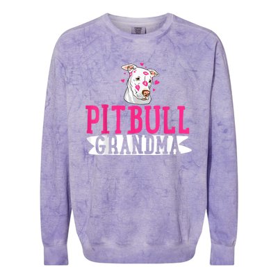 Pitbull Grandma Pit Bull Terrier Dog Lover Owner Pibble Colorblast Crewneck Sweatshirt