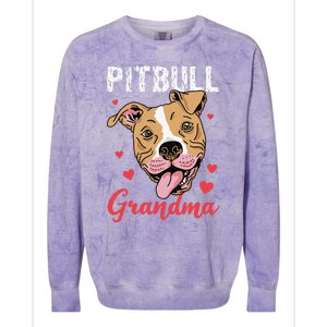 Pitbull Grandma Pawma Dog Grandparents Dog Lover Colorblast Crewneck Sweatshirt