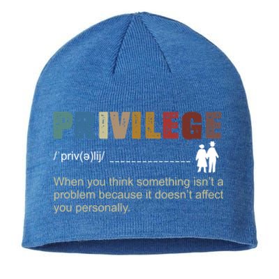 Privileged Gift Privilege Definition Gift Sustainable Beanie