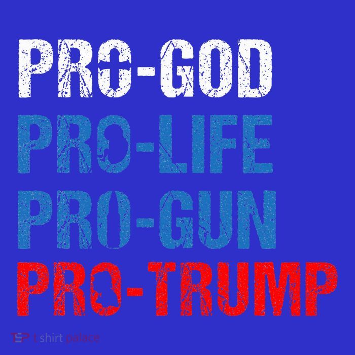 Pro God Pro Life Pro Gun Pro Trump Women's V-Neck T-Shirt