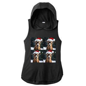 Pygmy Goat Selfie Christmas Goat Santa Hat Holiday Costume Ladies PosiCharge Tri-Blend Wicking Draft Hoodie Tank