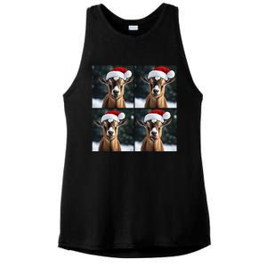 Pygmy Goat Selfie Christmas Goat Santa Hat Holiday Costume Ladies PosiCharge Tri-Blend Wicking Tank