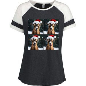 Pygmy Goat Selfie Christmas Goat Santa Hat Holiday Costume Enza Ladies Jersey Colorblock Tee