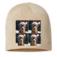 Pygmy Goat Selfie Christmas Goat Santa Hat Holiday Costume Sustainable Beanie