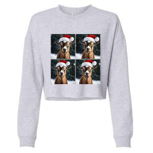 Pygmy Goat Selfie Christmas Goat Santa Hat Holiday Costume Cropped Pullover Crew