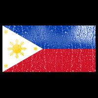 Philippines Glass Water Flag City Backpack