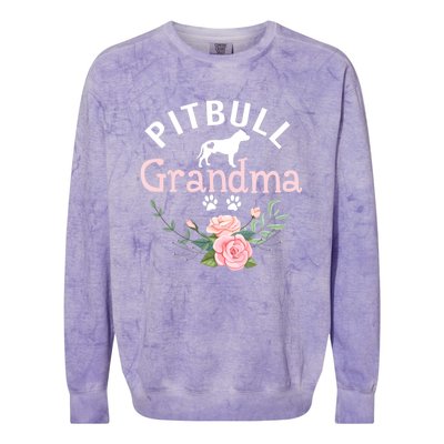 Pitbull Grandma Womens Mom Pitbull Dog Lover Christmas Colorblast Crewneck Sweatshirt