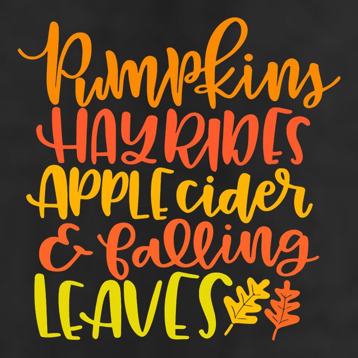 Pumpkins Hayrides Apple Cider And Falling Leaves Funny Fall Adult Drive Performance Visor