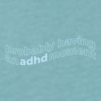 Probably Having An Adhd Moment Sueded Cloud Jersey T-Shirt