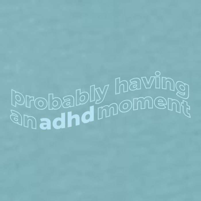 Probably Having An Adhd Moment Sueded Cloud Jersey T-Shirt