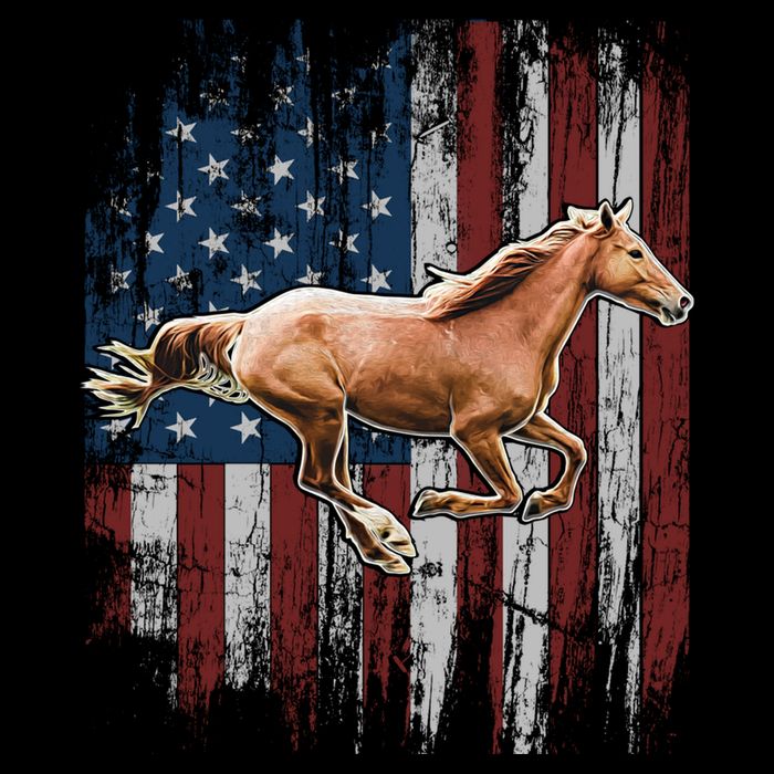 Patriotic Horse American Flag Horseback Riding Farm Gift Drawstring Bag