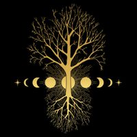 Phases Of The Moon Roots Women's V-Neck T-Shirt