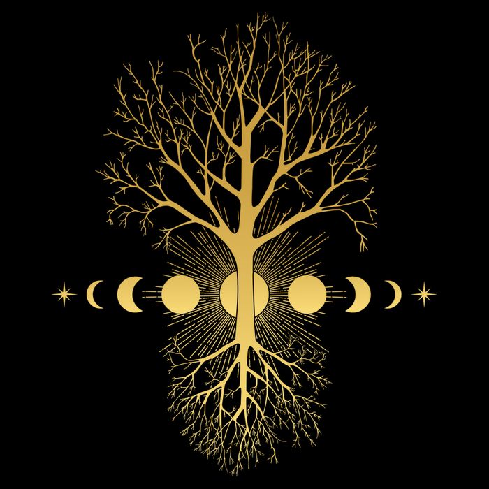 Phases Of The Moon Roots Women's V-Neck T-Shirt