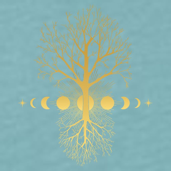 Phases Of The Moon Roots Sueded Cloud Jersey T-Shirt