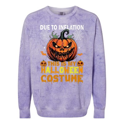 Pumpkin Halloween Costume Funny Halloween 2024 Colorblast Crewneck Sweatshirt