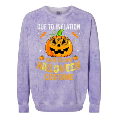 Pumpkin Halloween Costume Funny Halloween 2024 Colorblast Crewneck Sweatshirt