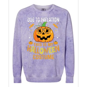 Pumpkin Halloween Costume Funny Halloween 2024 Colorblast Crewneck Sweatshirt