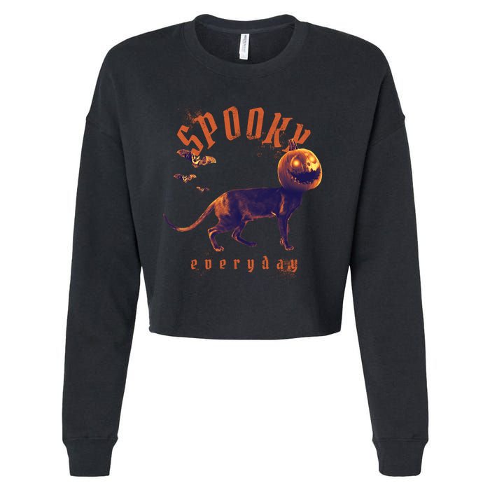 Pumpkin Head Cat Cropped Pullover Crew
