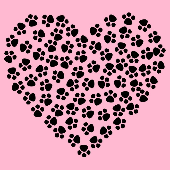 Pawprint Heart Dog Lover Women's V-Neck T-Shirt