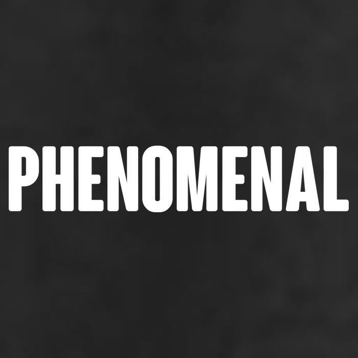 Phenomenal Adult Drive Performance Visor