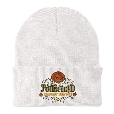 Pottsfield Harvest Festival Knit Cap Winter Beanie