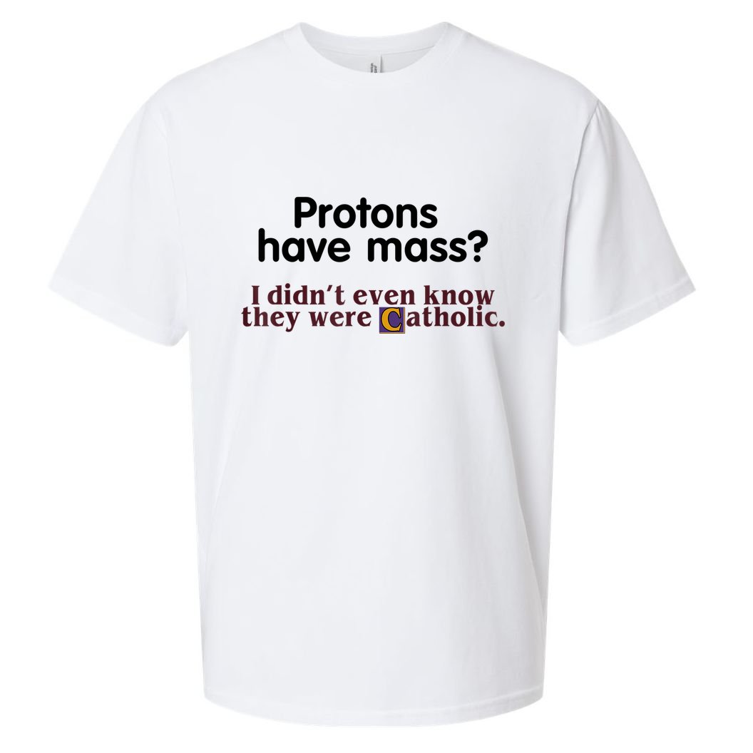 Protons Have Mass I Didn't Even Know They Were Catholic Sueded Cloud Jersey T-Shirt
