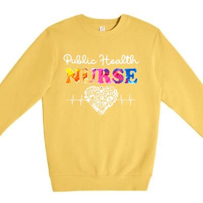 Public Health Nurse Watercol Love Heart Stethoscope Rn Nurse Gift Premium Crewneck Sweatshirt