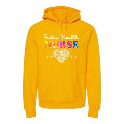 Public Health Nurse Watercol Love Heart Stethoscope Rn Nurse Gift Premium Hoodie