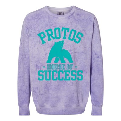 Protos House Of Successteachers Students Rca School Spirit Vneck Colorblast Crewneck Sweatshirt