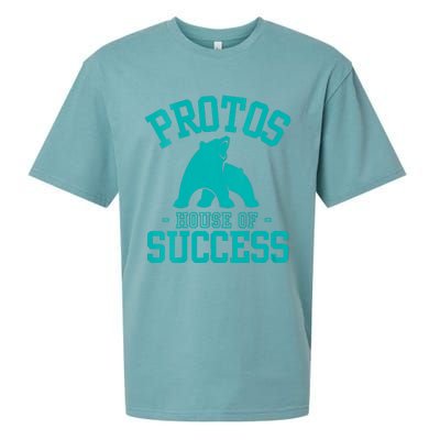 Protos House Of Successteachers Students Rca School Spirit Vneck Sueded Cloud Jersey T-Shirt