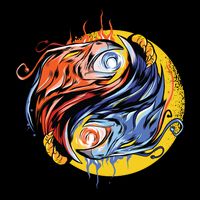 Phoenix Yin Yang Wool Snapback Cap