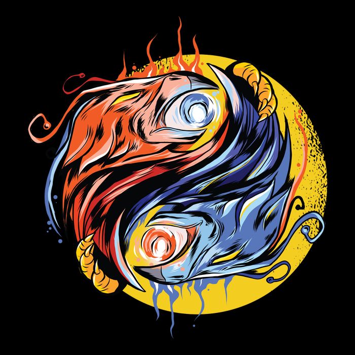 Phoenix Yin Yang Wool Snapback Cap