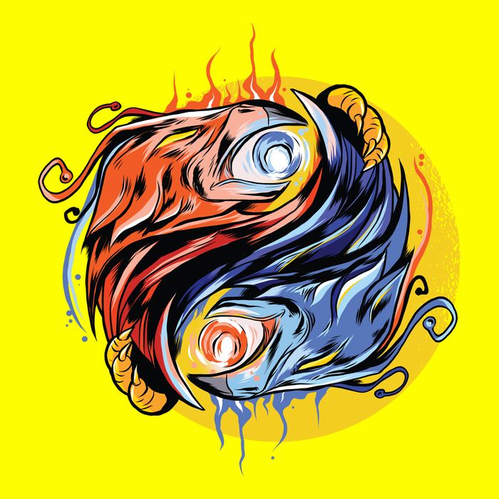 Phoenix Yin Yang Womens T-Shirt