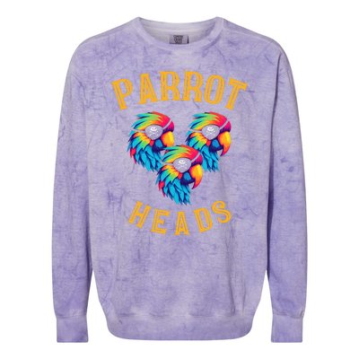 Parrot Heads Parrot Pirates Relax Vacation Colorblast Crewneck Sweatshirt