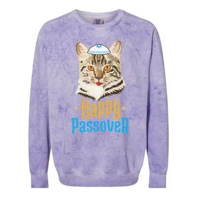 Passover Happy Passover Cat Funny Seder Jewish Holiday Colorblast Crewneck Sweatshirt