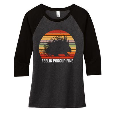 Porcupine Hugger S For Hedgehog Porcupine Fan Women's Tri-Blend 3/4-Sleeve Raglan Shirt