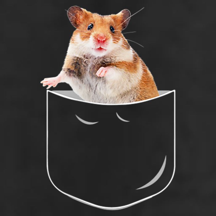 Pocket Hamster Shirt, Funny Hamster In Pocket Gift Tshirt TShirt 7 Panel Mesh Trucker Snapback Hat