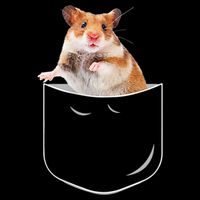 Pocket Hamster Shirt, Funny Hamster In Pocket Gift Tshirt TShirt Tall T-Shirt